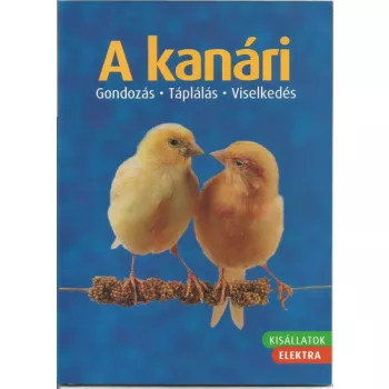 Markus Hübl: A ​kanári Antikvár