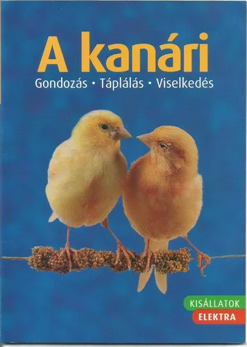 Markus Hübl: A ​kanári Antikvár