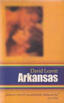 David Leavitt: Arkansas Antikvár