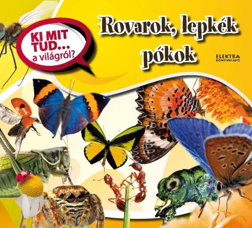 Rovarok, lepkék, pókok - Ki mit tud... a világról?