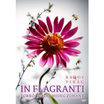 Rados Virág: In flagranti Jó állapotú antikvár