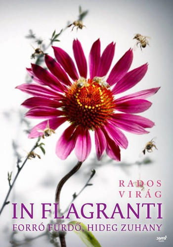 Rados Virág: In flagranti Jó állapotú antikvár