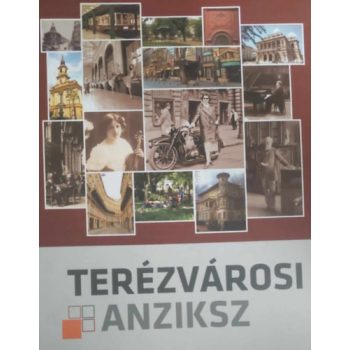 Terézvárosi anziksz