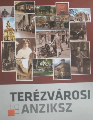 Terézvárosi anziksz
