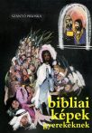 Szántó Piroska - Bibliai képek gyerekeknek