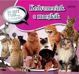 Kedvenceink a macskák - Ki mit tud... a világról?