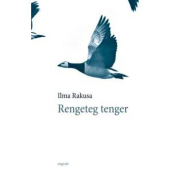 Ilma Rakusa: Rengeteg ​tenger