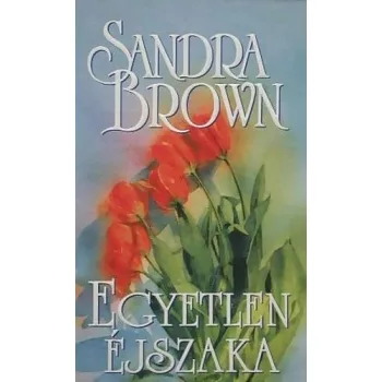 Sandra Brown - Egyetlen éjszaka Szépséghibás