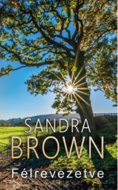 Sandra Brown: Félrevezetve