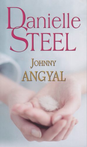 Danielle Steel - Johnny ​Angyal