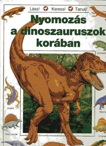 Rosie Heywood: Nyomozás a dinoszauruszok korában- Antikvár