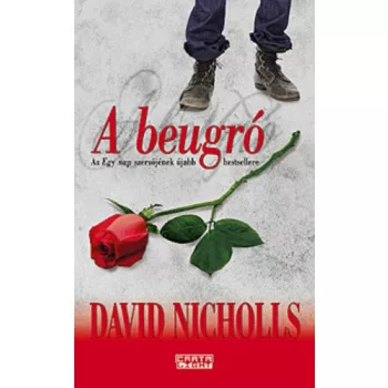 David Nicholls: A beugró szépséghibás