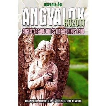 Berente Ági - Angyalok között Antikvár