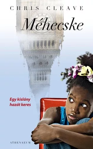 Chris Cleave: Méhecske Jó állapotú antikvár