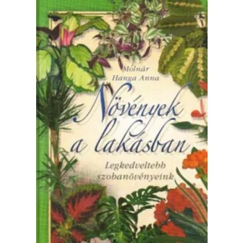 Molnár Hanga Anna: Növények a lakásban