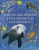 Ben Denne: Első ​enciklopédiám a tengerekről és óceánokról Tárolássérült sérült sarok