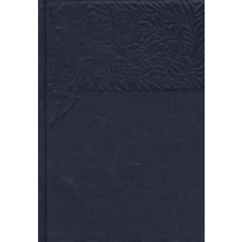 Révai Nagy Lexikona II. kötet