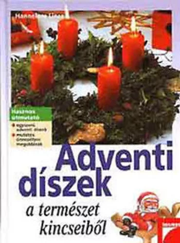 Hannelore Linse: Adventi ​díszek a természet kincseiből 