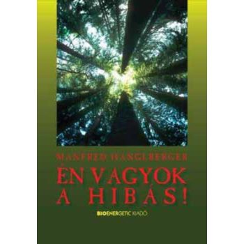 Manfred Hanglberger: Én vagyok a hibás! Antikvár