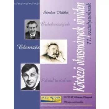   Sándor Ildikó: Kötelező olvasmányok röviden 11. osztályosoknak Jó állapotú szépséghibás