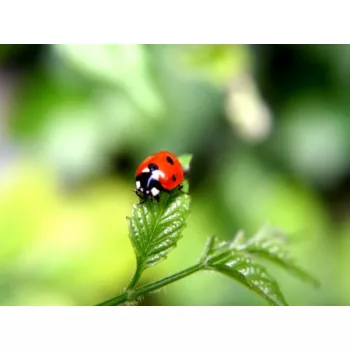 Ismeretterjesztő könyvek